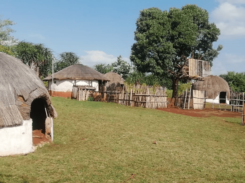 Overview of Mzamo's Cultural Village & Homestead, a living Zulu kraal in Hluhluwe