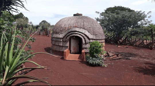 Traditional Zulu hut interior showing woven craftsmanship, Hluhluwe
